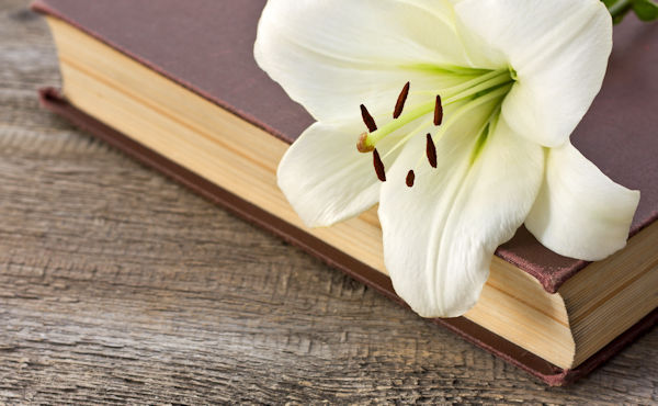 White lily on the book on the old wooden background