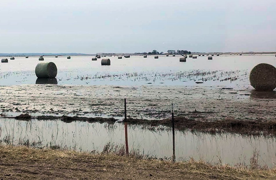 Flood hay field in Iowa