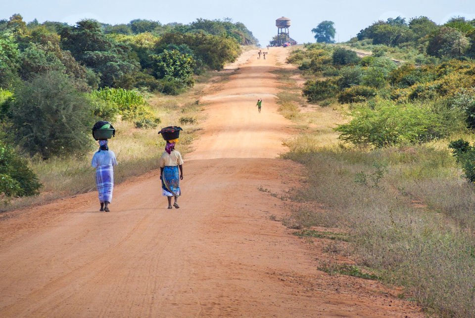 African women walking with food