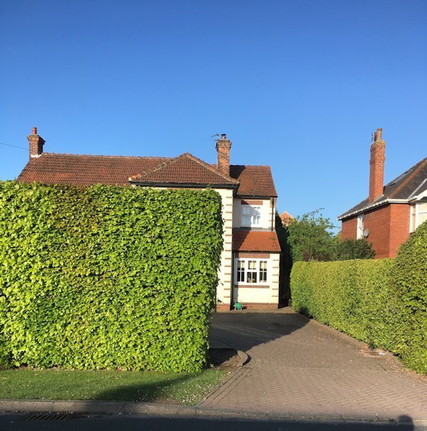 Hedges define the space between English houses.