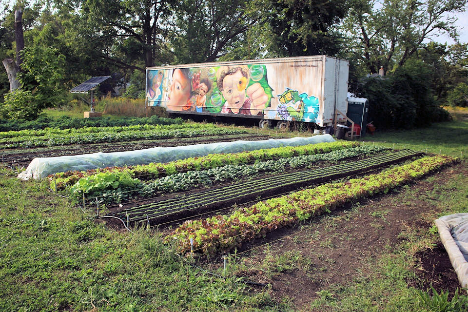 Asbury Farms grows healthy food.