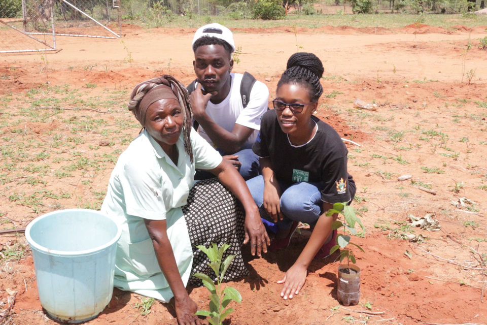 Tree planters in Zimbabwe