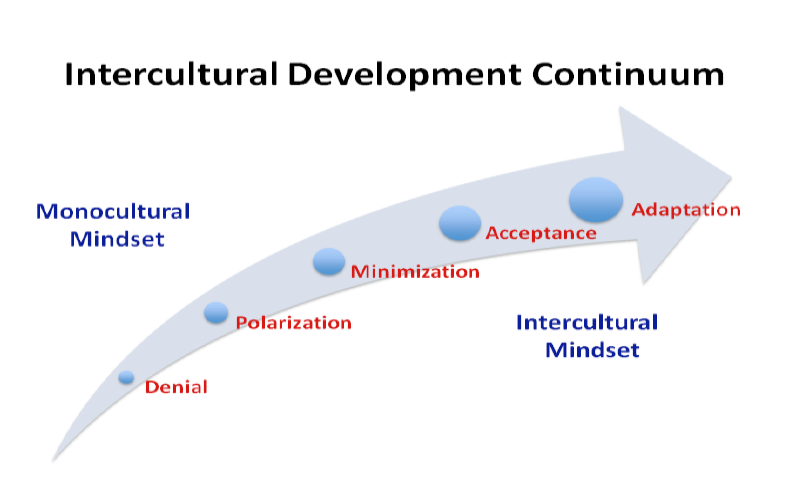 IDI, Continuum, Development, Monocultural, Intercultural