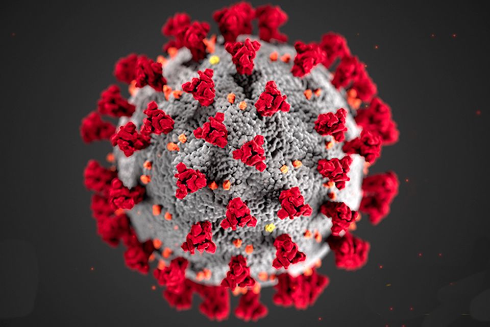 Coronavirus precautions urged