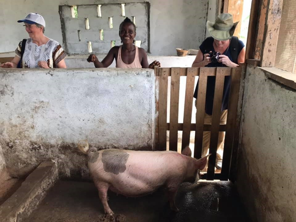 Meeting a pig at an ag project