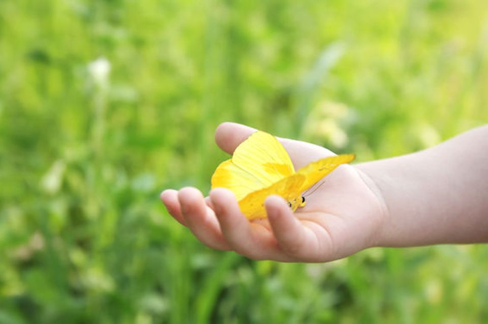 Hand offers hope of healing