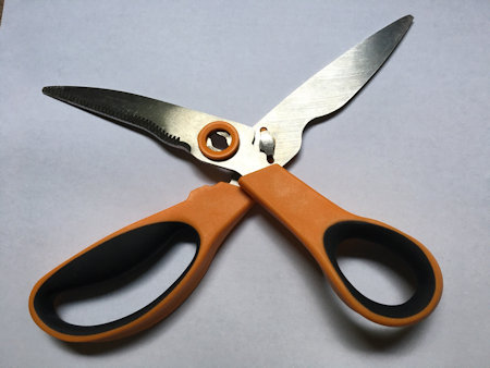 Sondra's Scissors