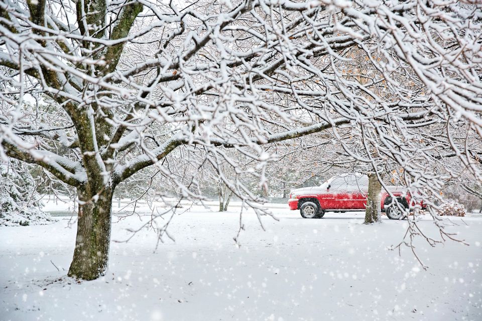 Winter in Michigan