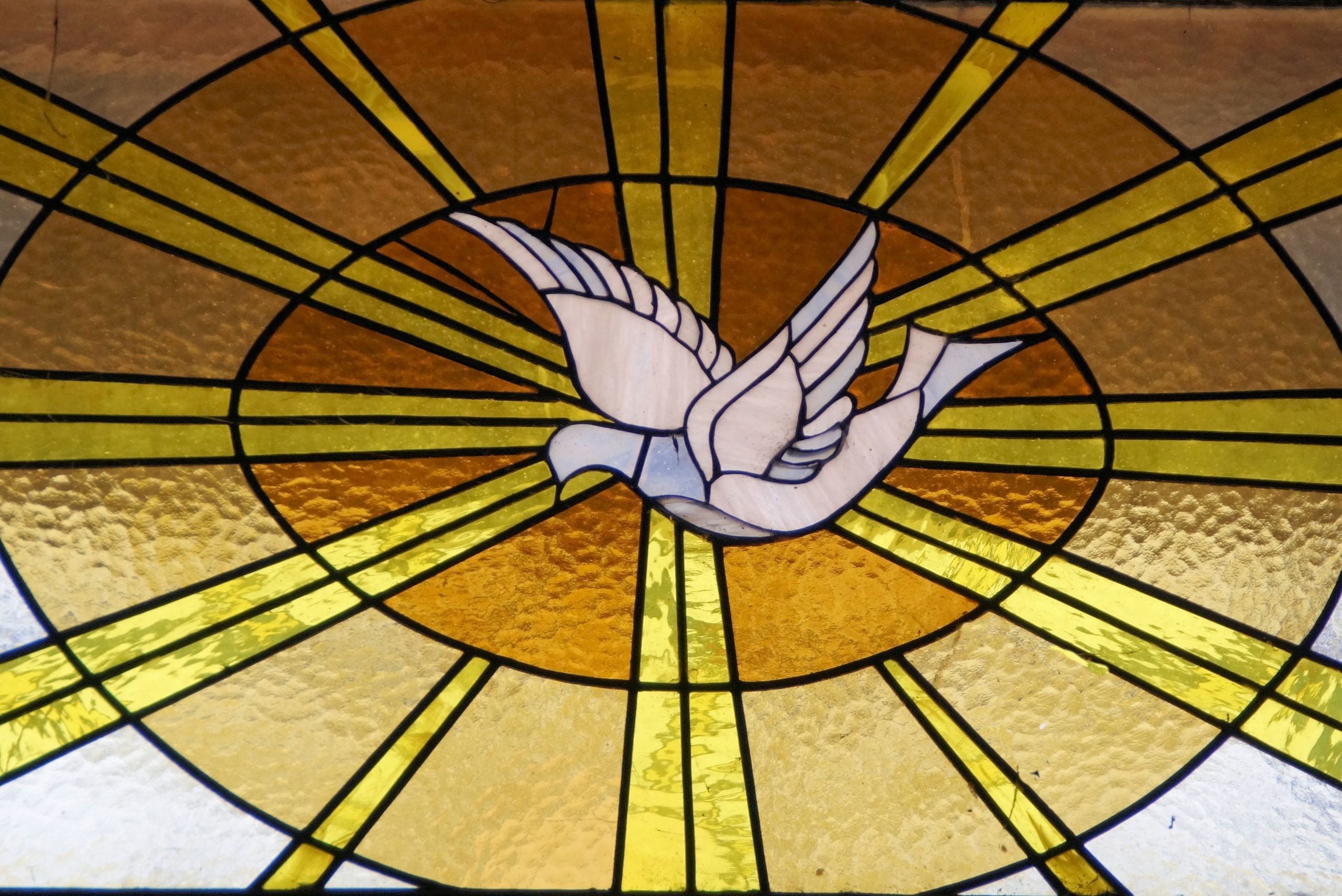 Dove of Peace