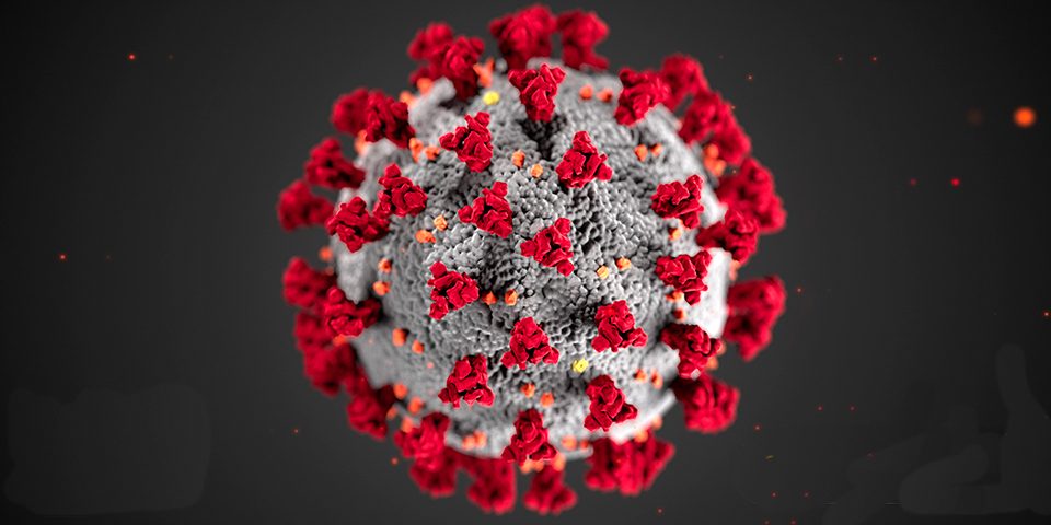2019-coronavirus Coronavirus COVID-19