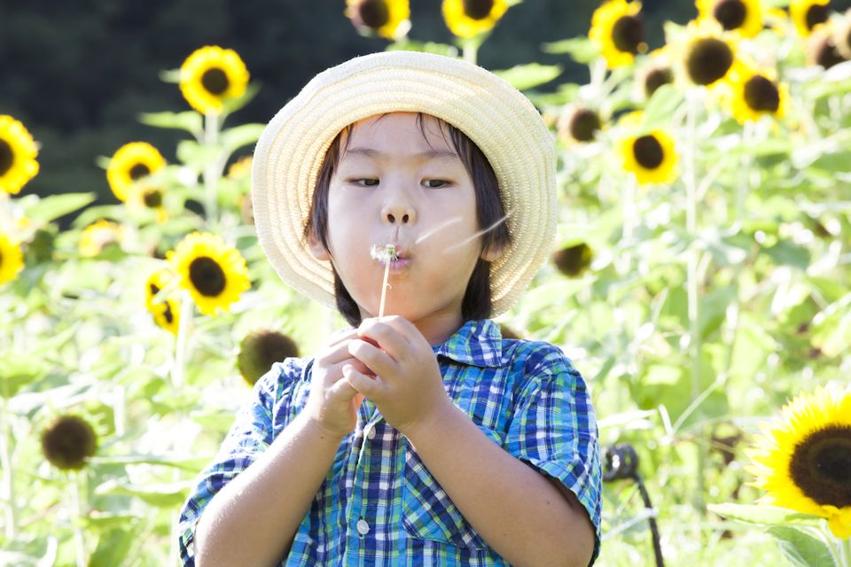 Summer fun with flowers