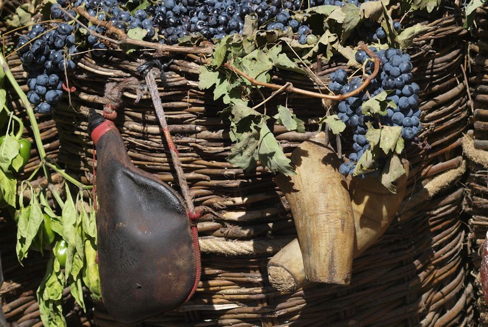 Grapes for wine that needs new wineskins