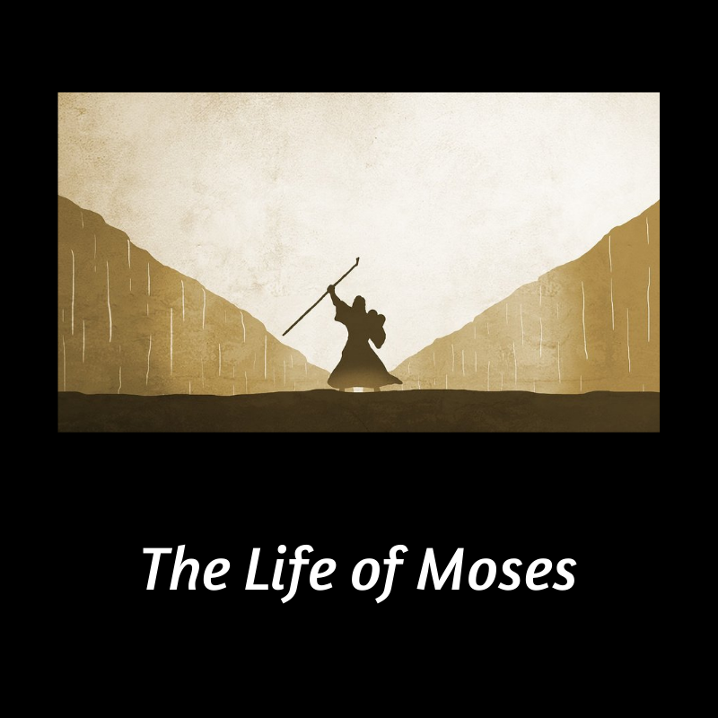 icon for the life of moses playlist