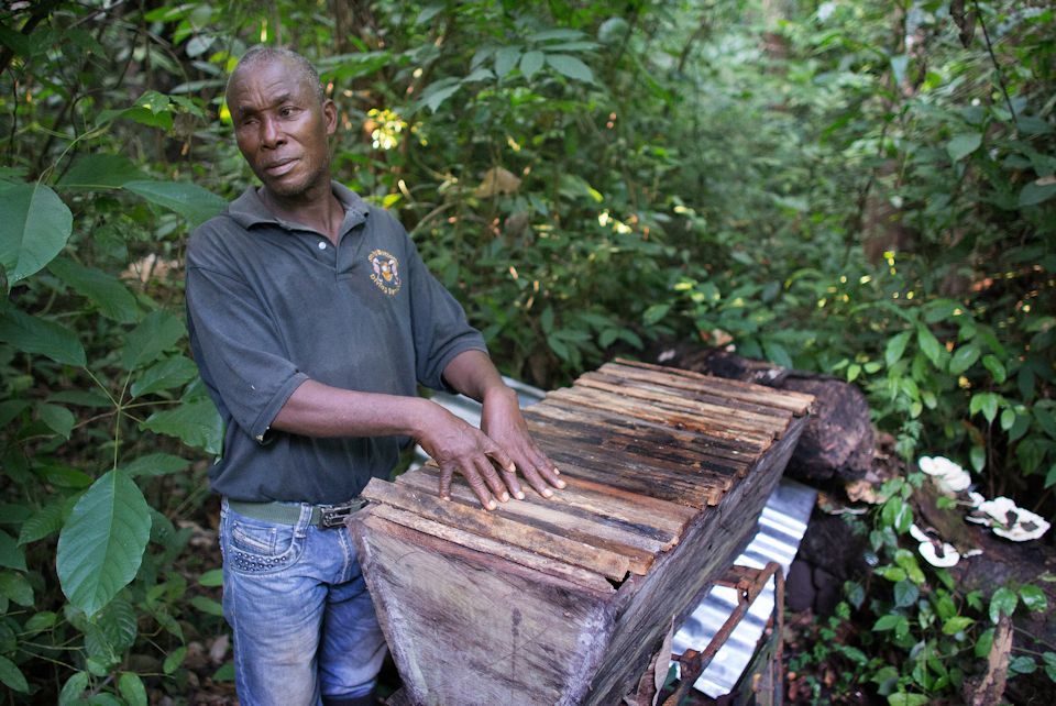 Farming in Liberia