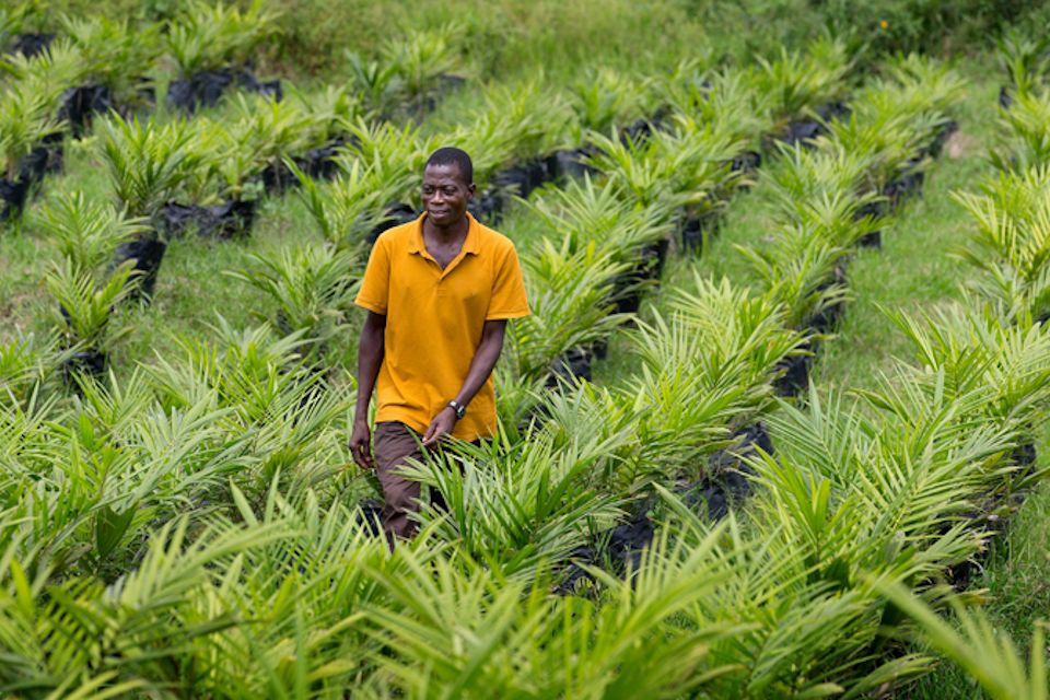 UMCOR supports agriculture in Africa