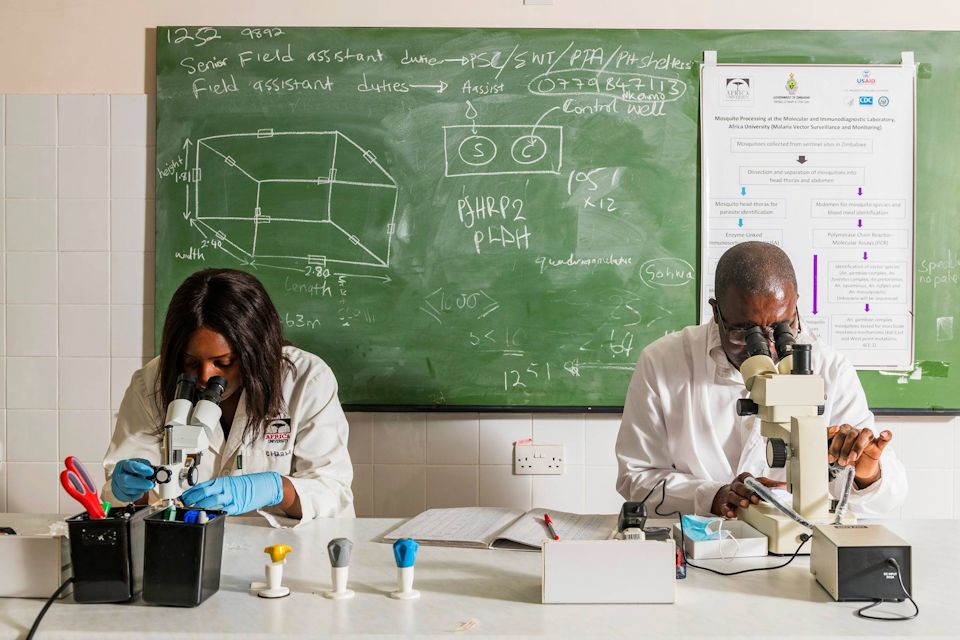 Malaria research at Africa University