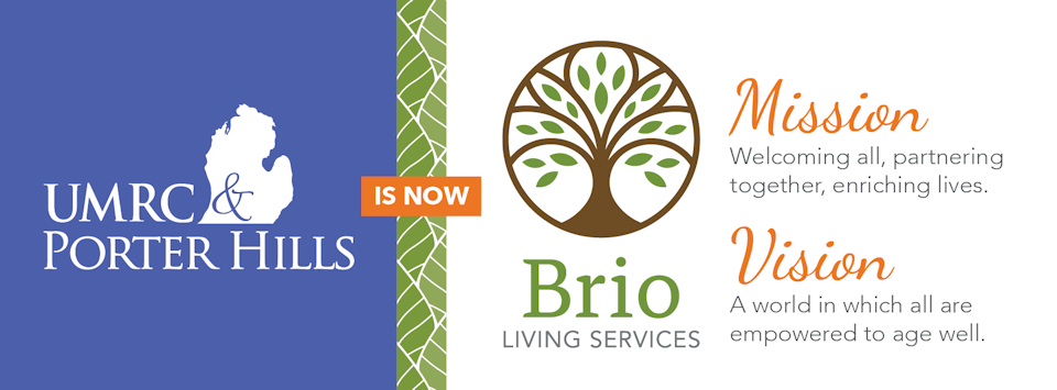 New brio logo