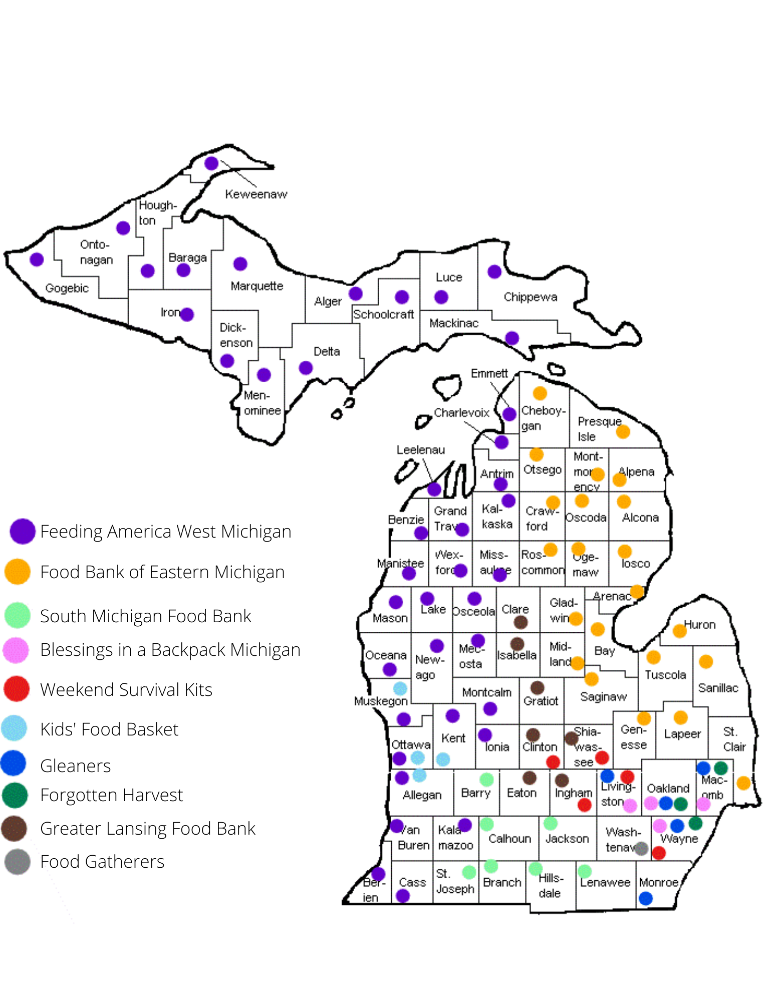 Michigan major food banks