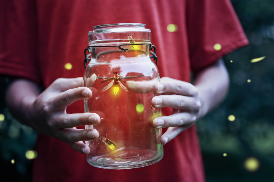 Catching fireflies in a mason jar.