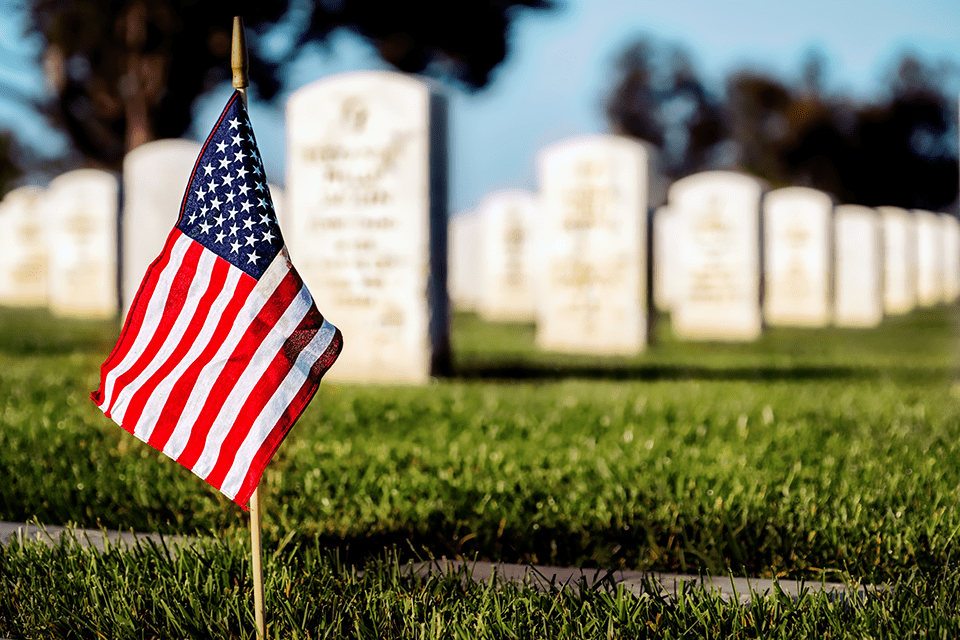 Flag in cemetery
