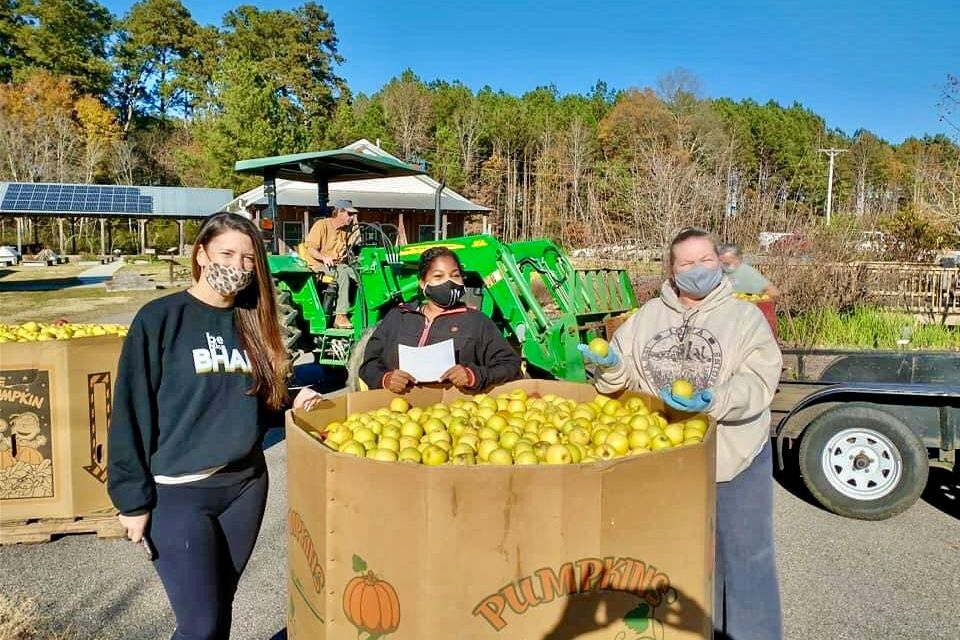 Young adults with crate of apples