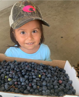 Girl with box of blueberries