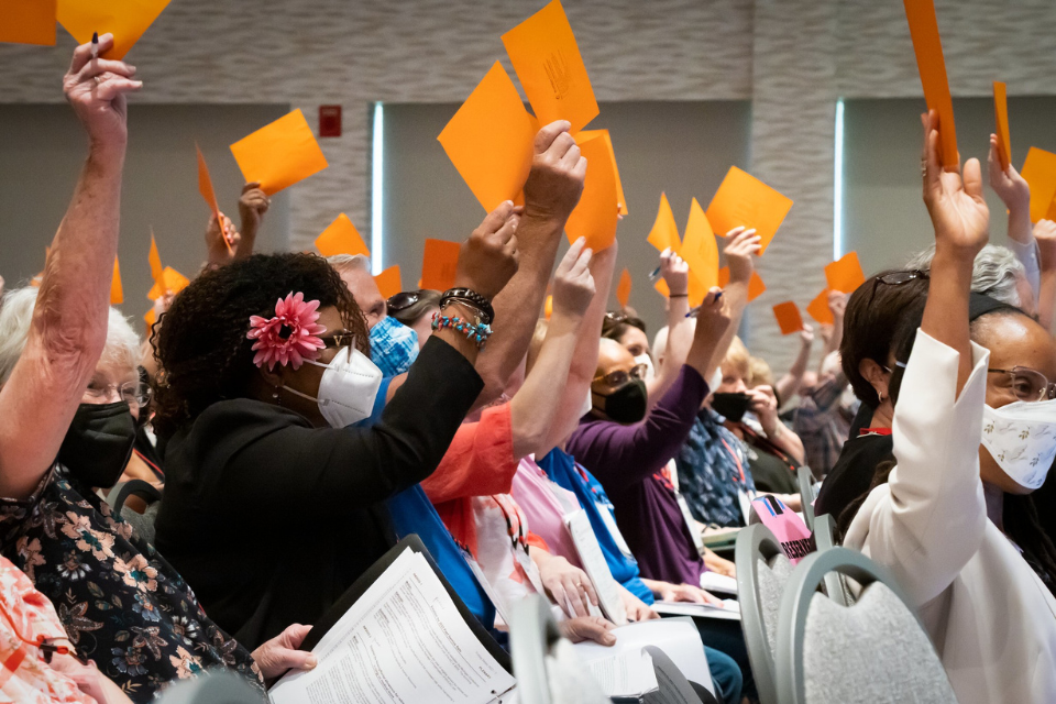 Members voting at Annual Conference