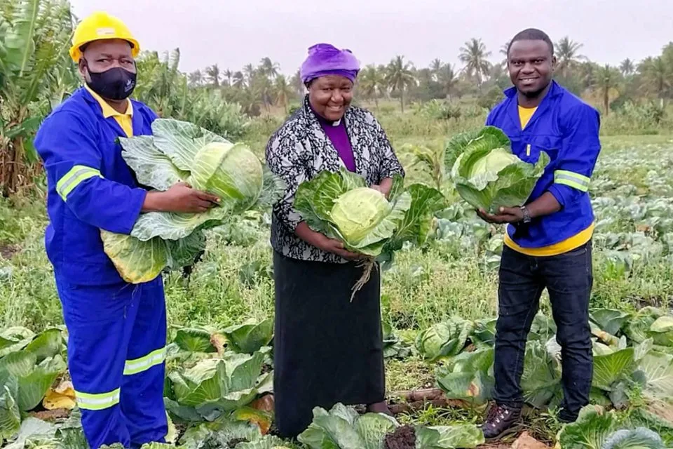 People holding cabbages