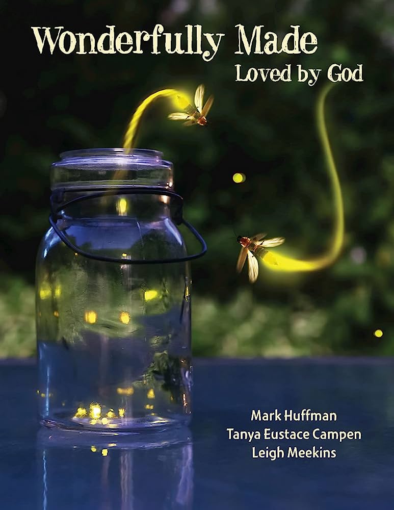 wonderfully made book cover image