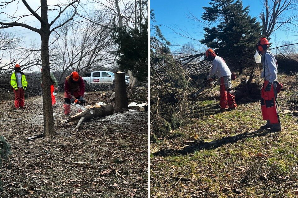 Volunteers cutting up downed trees following a tornado