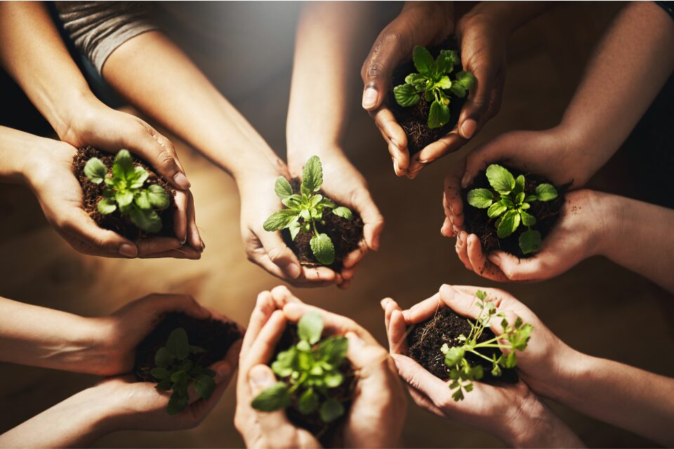 People holding small plants