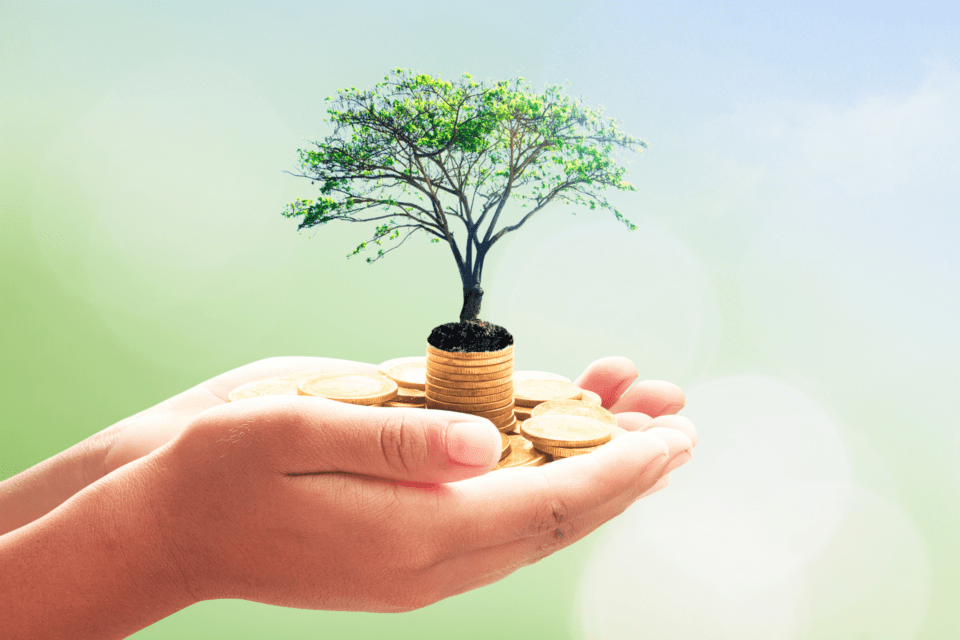 Tree growing out of a pile of money, held by hands