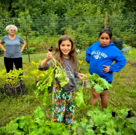Youth tending a garden