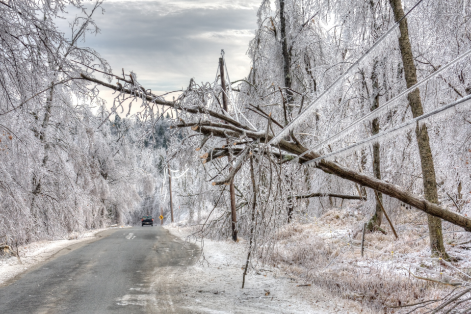 ice storm damage