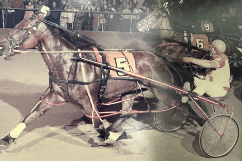 Harness horse racing