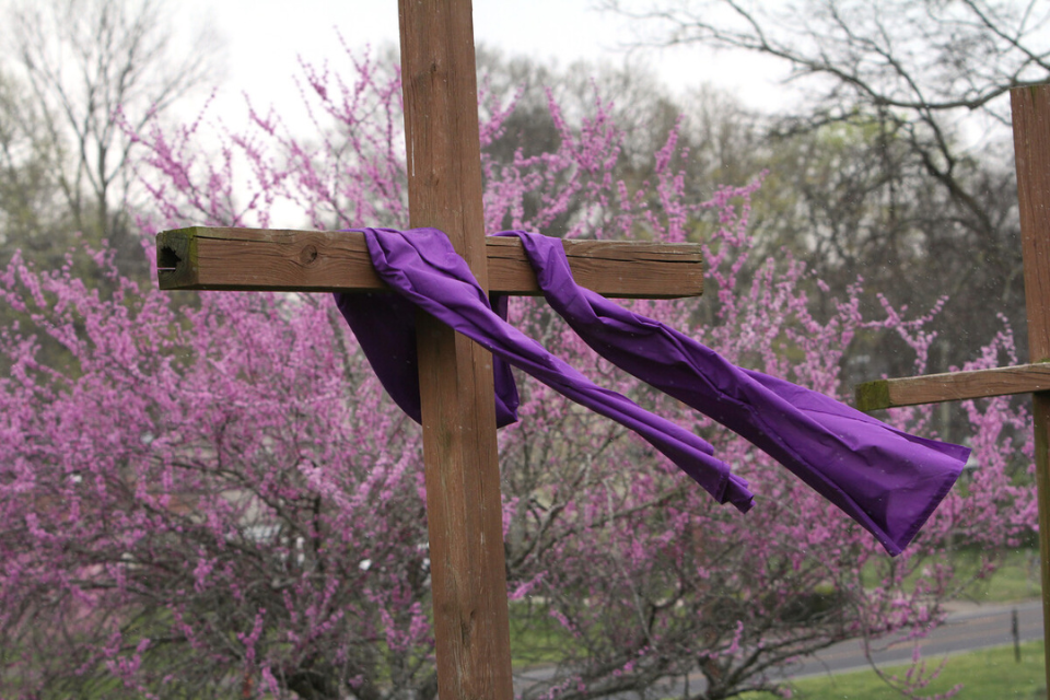 Cross during Lent, with purple cloth draped over it