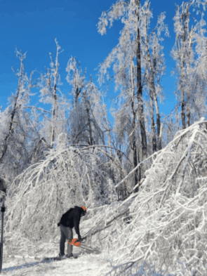 Cutting up branches covered in ice