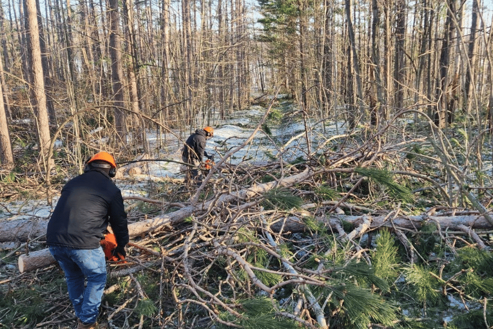 Cutting up fallen trees following an ice storm