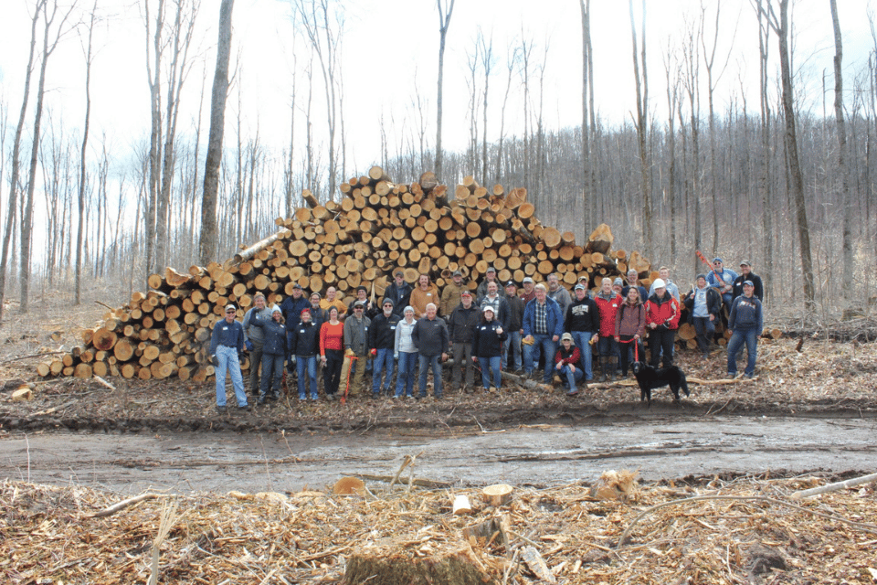 Logged trees stacked up with a group of people standing in front of them
