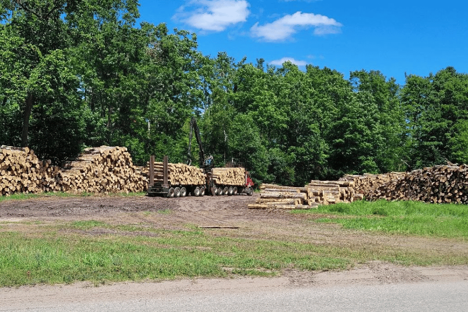 Logs being loaded onto a flat-bed truck to send to local sawmills