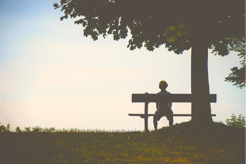 Person sitting under a tree