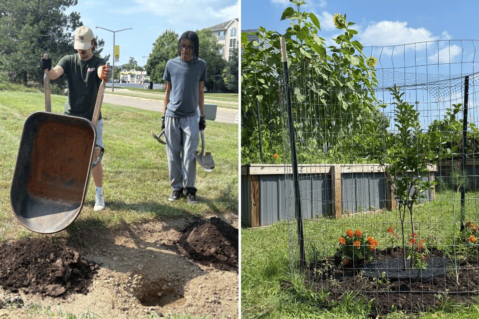 Building a garden