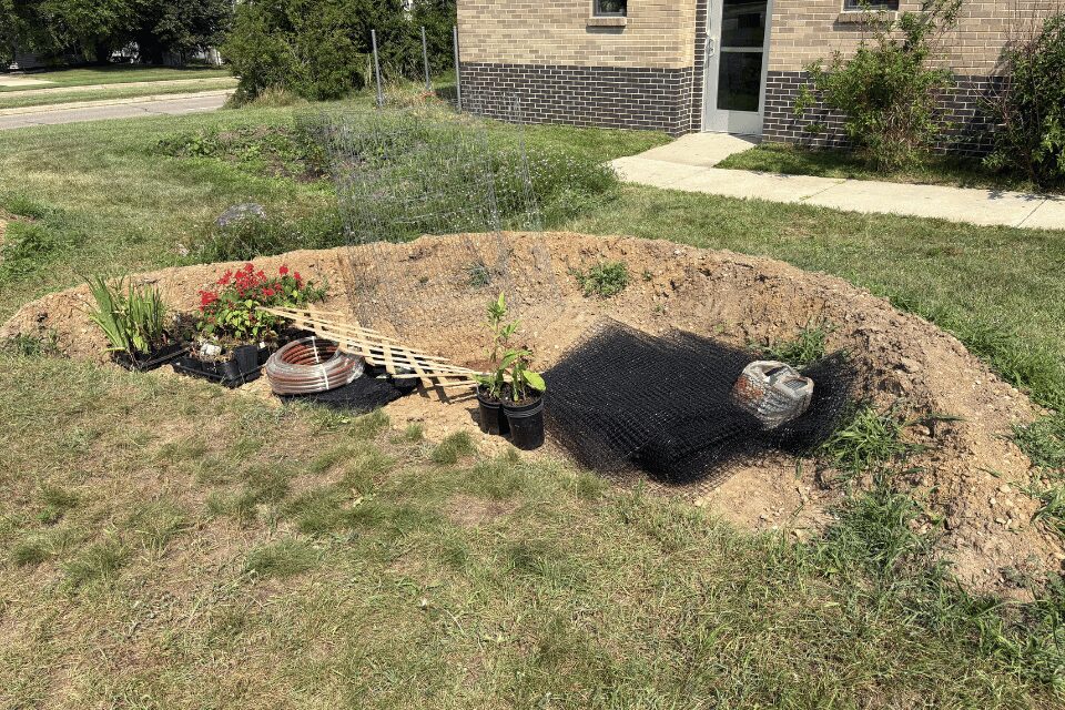 Garden taking shape
