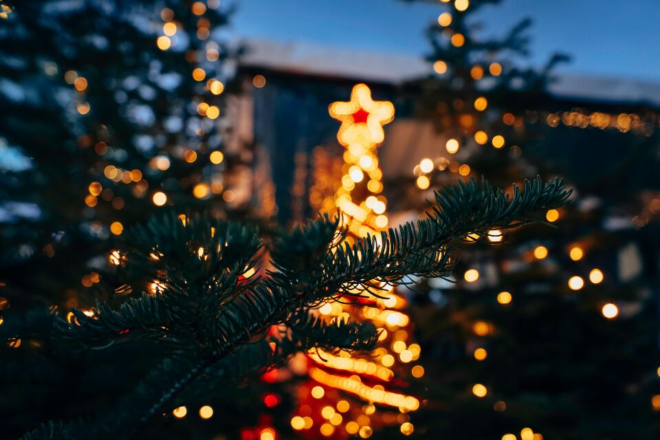Christmas star on a tree