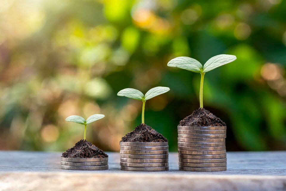 Money growing over time