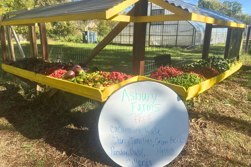 Free produce at a roadside stand