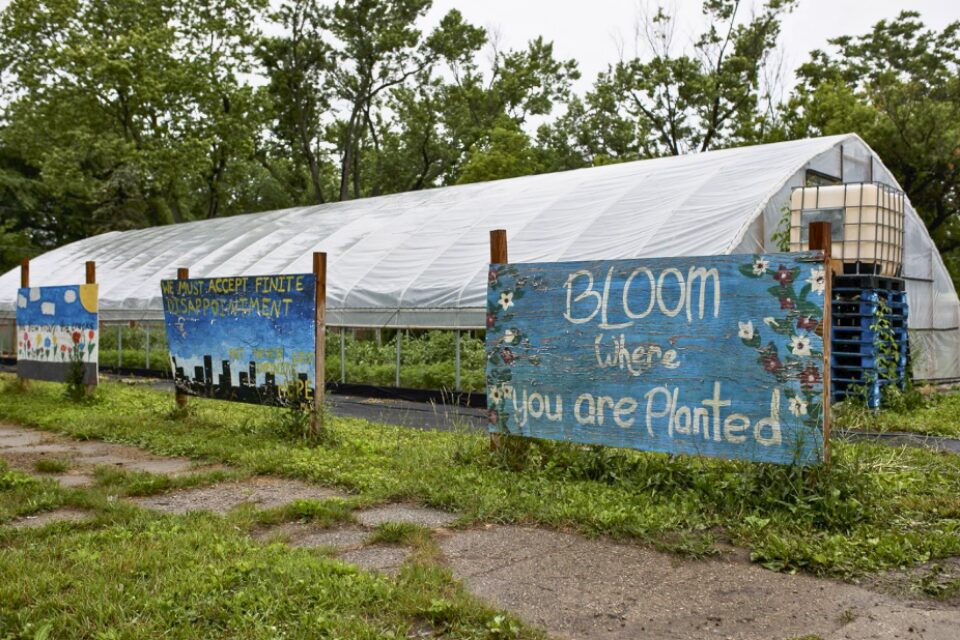 Hoop house at Asbury Farms