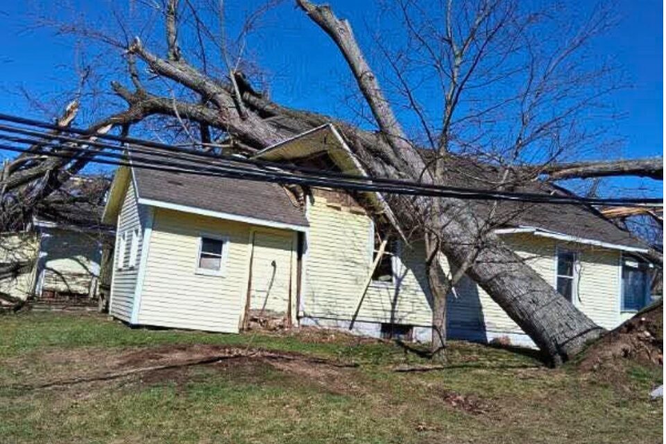 A tree fell on a house in Three Rivers