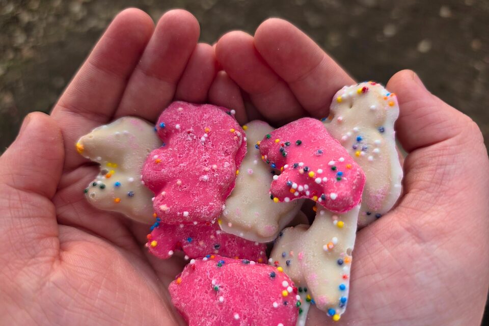 Child holding animal crackers