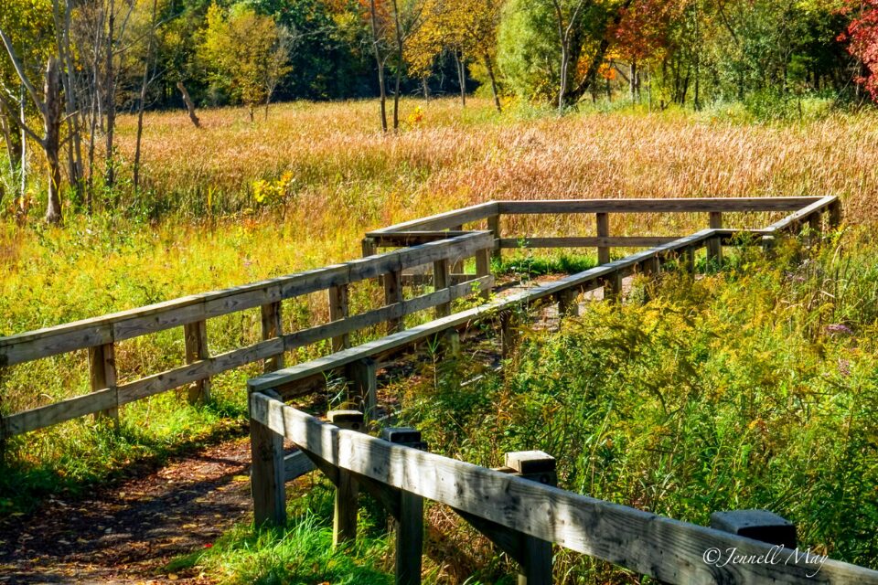 Wooden walkway in nature preserve